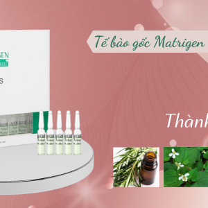 Tế Bào Gốc Matrigen Purifying Fluids